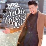 Noo Phước Thịnh – Really Love You – iTunes AAC M4A – Single