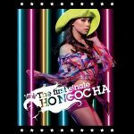 Hồ Ngọc Hà – The First Single – 2009 – iTunes AAC M4A – Single