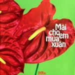 Nhiều Nghệ Sỹ – Mãi Cho Em Mùa Xuân – 2010 – iTunes AAC M4A – Album