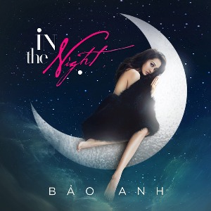 Bảo Anh – In The Night – iTunes AAC M4A – Single