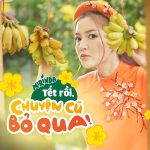 Bích Phương – Chuyện Cũ Bỏ Qua – iTunes AAC M4A – Single